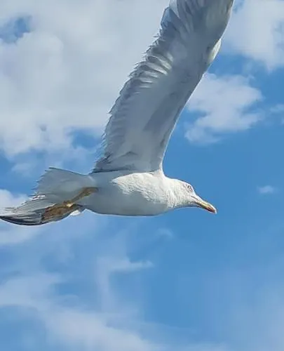 Marconi Miramare Hotel