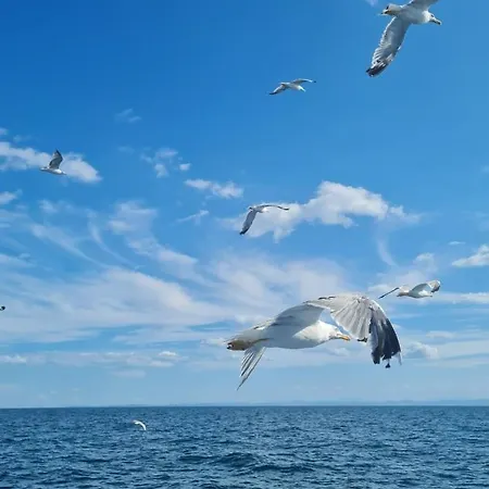 Marconi Miramare 3* Ρίμινι